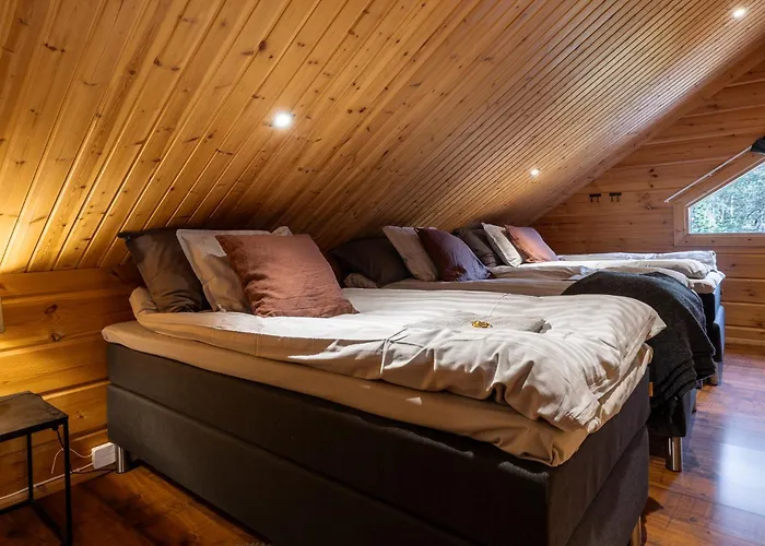 Βίλα Levinhuippu